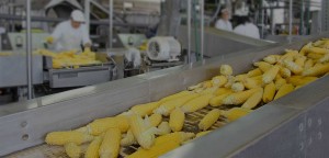 fabricacion y montaje de equipos para la industria alimentaria