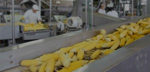 fabricacion y montaje de equipos para la industria alimentaria retina